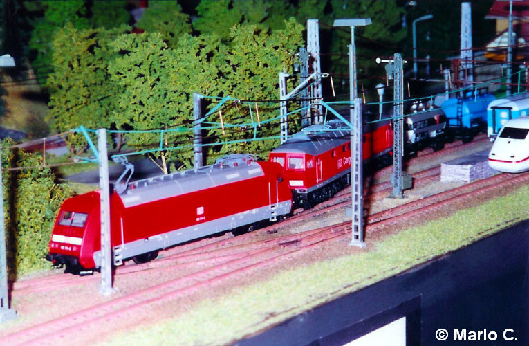 Bild12.jpg